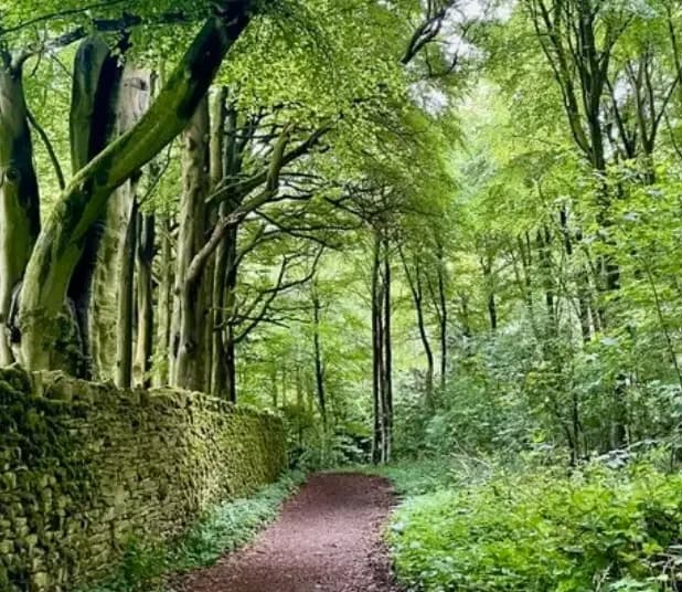 Read her article <a href="https://www.travelbugtonic.com/travel-blog/cotswolds-way" target="_blank">here</a>