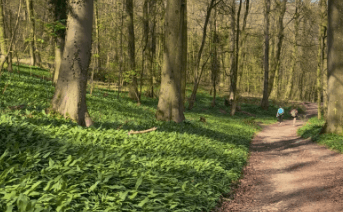 See her article on the <a href="https://travelingtayler.com/how-to-walk-the-cotswold-way/" target="_blank">Cotswold Way</a>