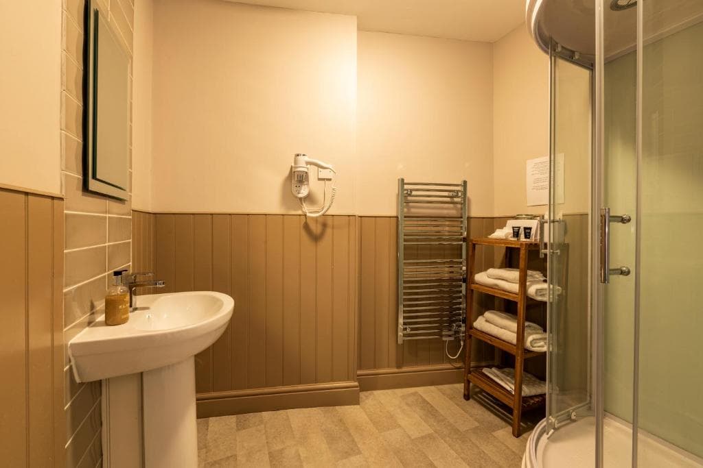 Swan Hotel – image 2