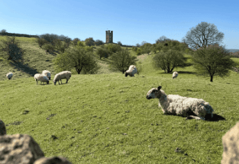 See her article on the <a href="https://travelingtayler.com/how-to-walk-the-cotswold-way/" target="_blank">Cotswold Way</a>