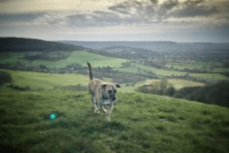 See their <a href="https://eatsleepwild.com/cotswold-way/" target="_blank">Costwold Way travel guide</a>