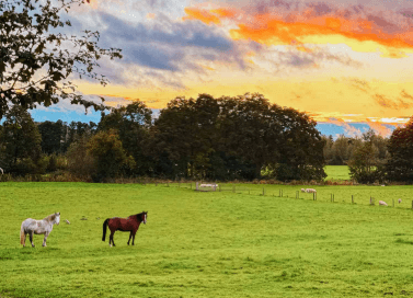 Read her <a href="https://heleneinbetween.com/2026/01/walking-the-cotswold-way-full-guide-everything-you-need-to-know.html" target="_blank">Costwold Way post</a>