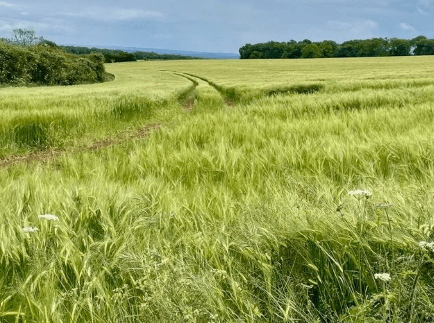 Read her article <a href="https://www.travelbugtonic.com/travel-blog/cotswolds-way" target="_blank">here</a>