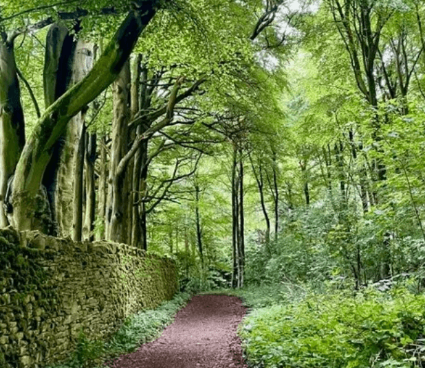 Read her article <a href="https://www.travelbugtonic.com/travel-blog/cotswolds-way" target="_blank">here</a>