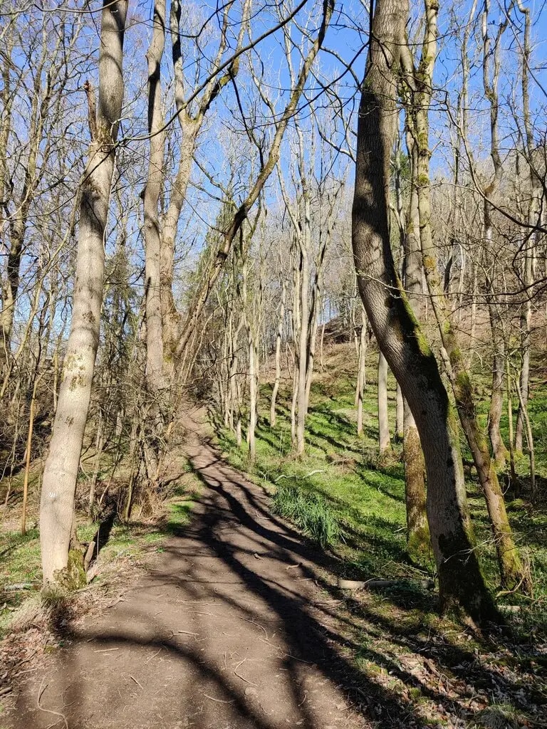 Steep woodland path through Breakheart Plantation on the Cotswold escarpment