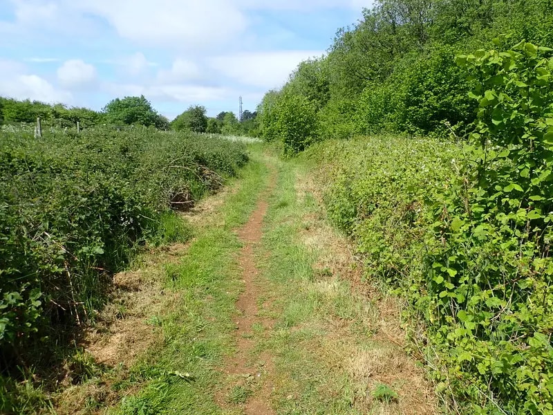 Open trail on the Cotswold escarpment near Lansdown with views over the landscape