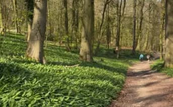 See her article on the <a href="https://travelingtayler.com/how-to-walk-the-cotswold-way/" target="_blank">Cotswold Way</a>