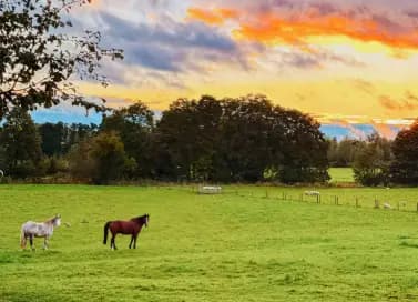 Read her <a href="https://heleneinbetween.com/2026/01/walking-the-cotswold-way-full-guide-everything-you-need-to-know.html" target="_blank">Costwold Way post</a>
