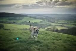 See their <a href="https://eatsleepwild.com/cotswold-way/" target="_blank">Costwold Way travel guide</a>