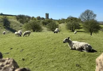 See her article on the <a href="https://travelingtayler.com/how-to-walk-the-cotswold-way/" target="_blank">Cotswold Way</a>